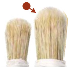 Stippler, scrub, size 10